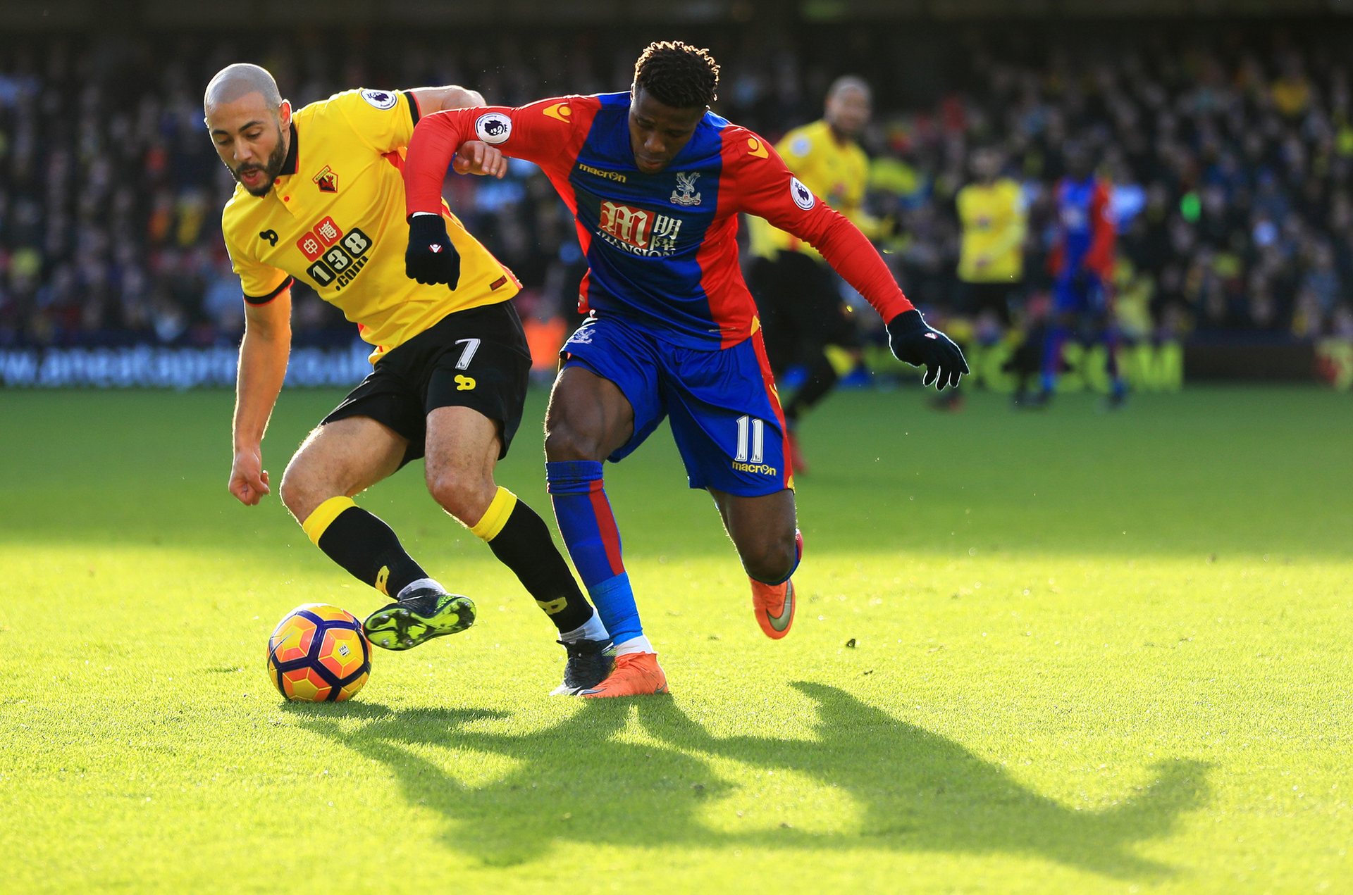 方网站或官 方网站或官