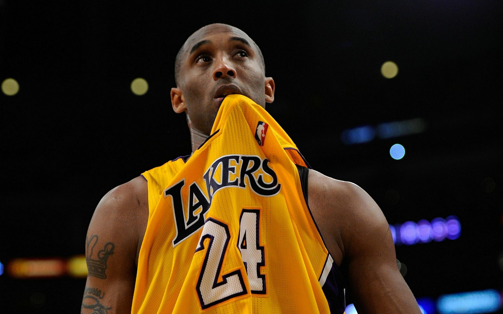 海牛的顽强 海牛的顽强